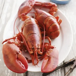 Classic New England Lobster