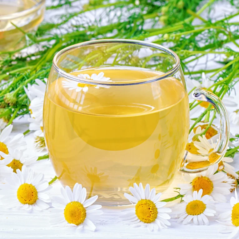 chamonile-tea.webp