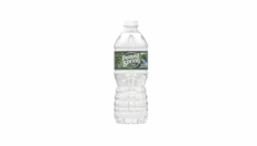 Poland Spring Water 16.9oz
