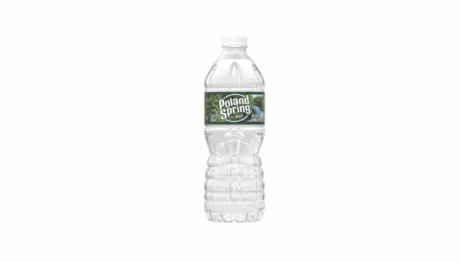 Poland Spring Water 16.9oz