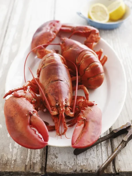 Classic New England Lobster